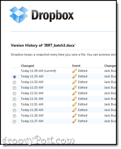 Dropbox-Versionierung und Backups