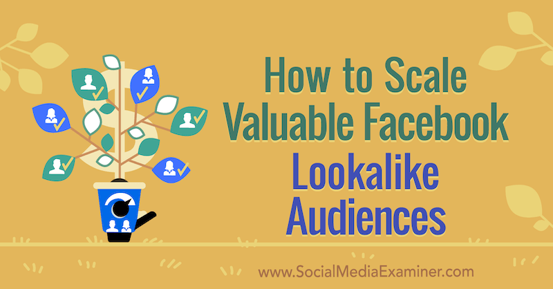 So skalieren Sie wertvolle Facebook-Lookalike-Zielgruppen von Yahav Hartman auf Social Media Examiner.