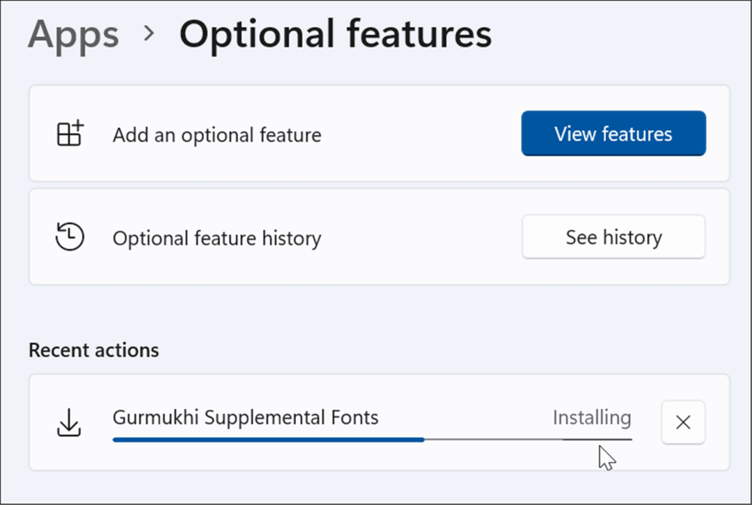 Optionale Funktion Windows 11 installieren