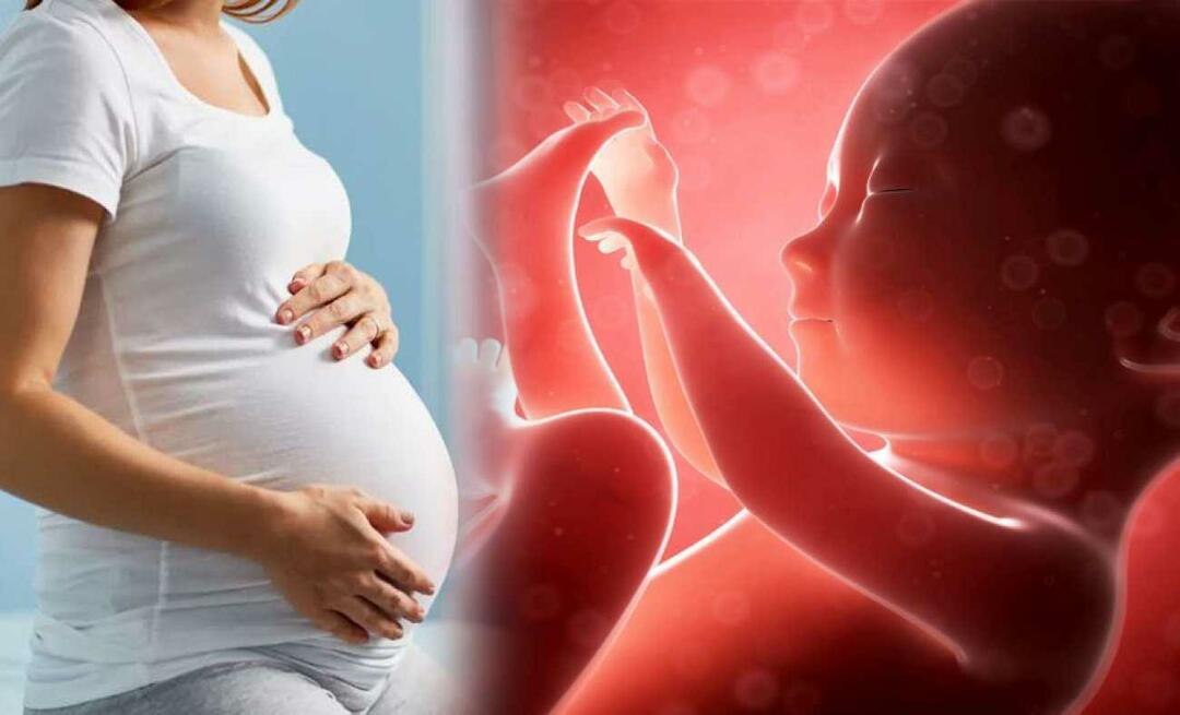 Ist dem Baby im Mutterleib kalt?