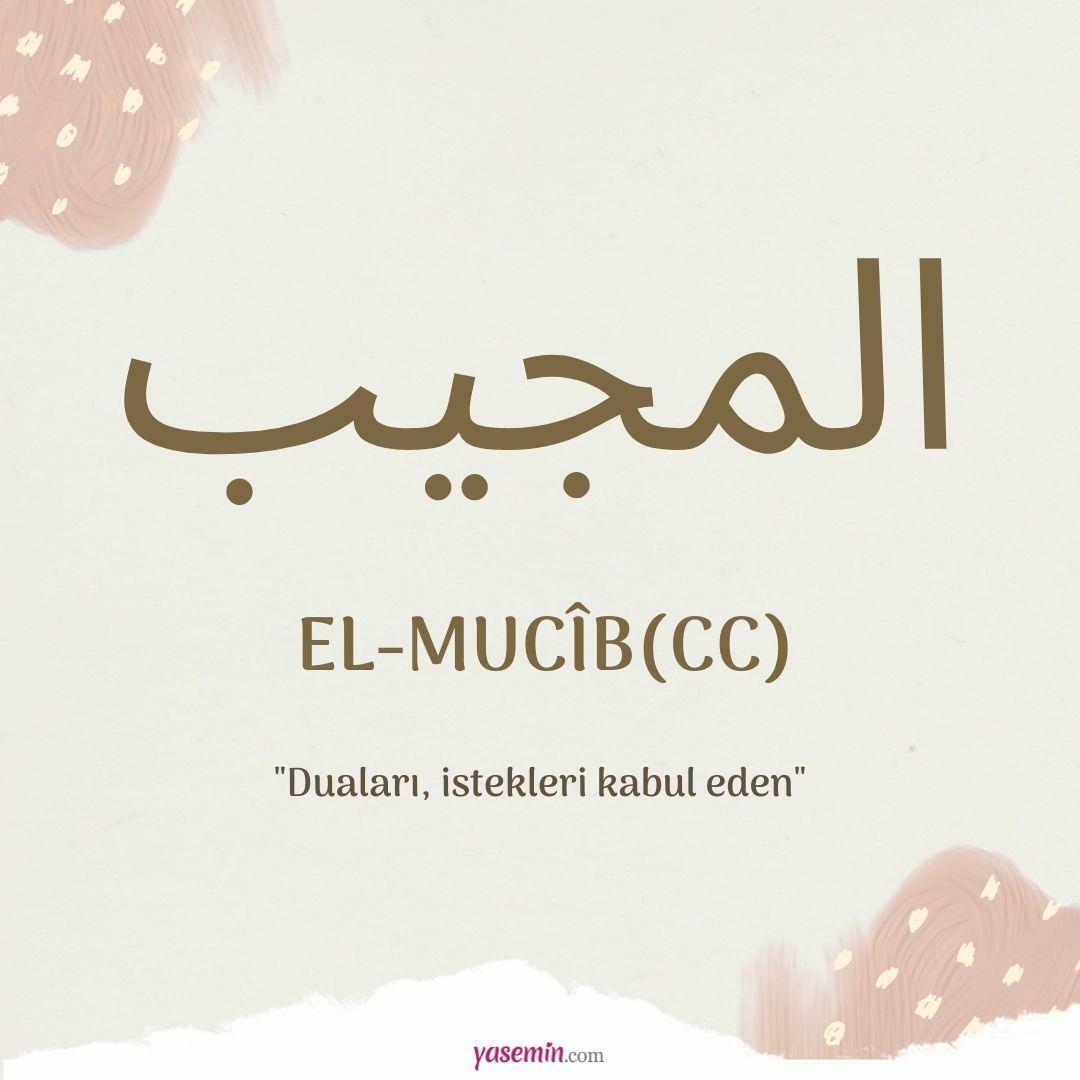 Was bedeutet Al-Mujib (cc) von Esma-ul Husna? Warum wird der Dhikr von Al-Mujib durchgeführt?