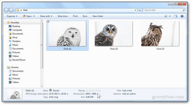Fotos Größe ändern Tutorial Windows Live-Fotogalerie