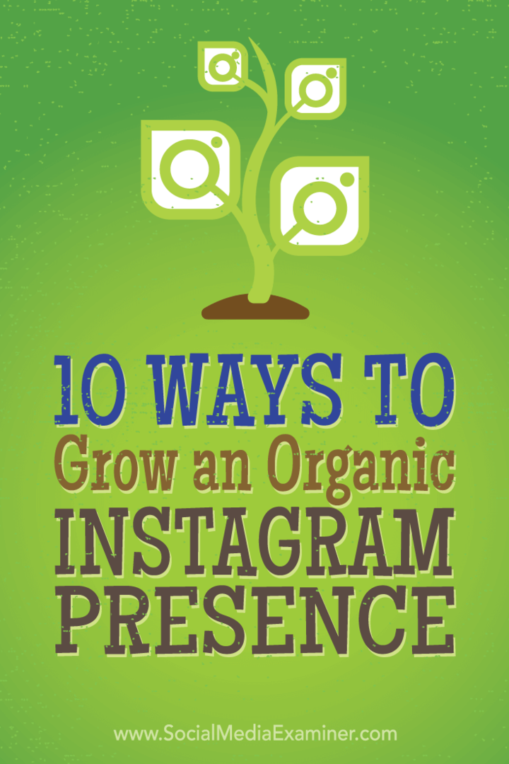 Tipps zu 10 Taktiken, mit denen Top-Vermarkter organisch mehr Instagram-Follower gewonnen haben.