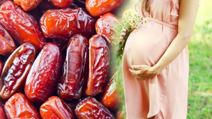 Was ist Palmzucker? Die Vorteile des Essens von Datteln während der Schwangerschaft und des Verzehrs von Palmzucker ...