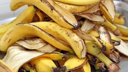 Was sind die Vorteile von Bananen? Wie viele Arten von Bananen gibt es? Unbekannte Verwendung von Bananenschalen! 