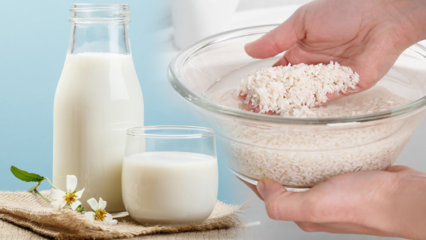 Wie bereitet man fettverbrennende Reismilch zu? Schlankheitsmethode mit Reismilch