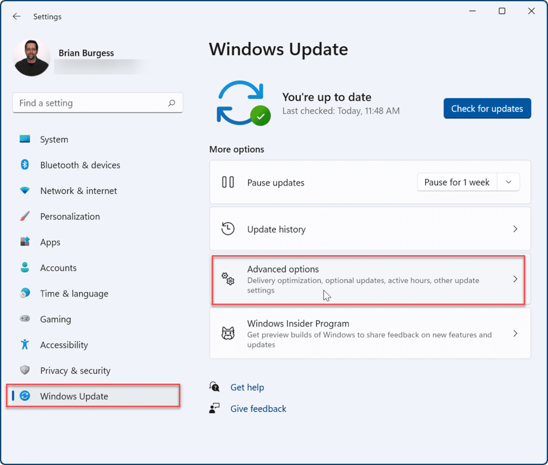 Windows Update erweiterte Optionen