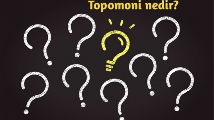 Was ist Topomonie, was untersucht sie? Was sind die Vorteile der topomonischen Wissenschaft? 