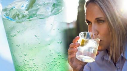 Schwächt Zitronenmineralwasser? Gewichtsverlustzyklus mit Mineralwasser