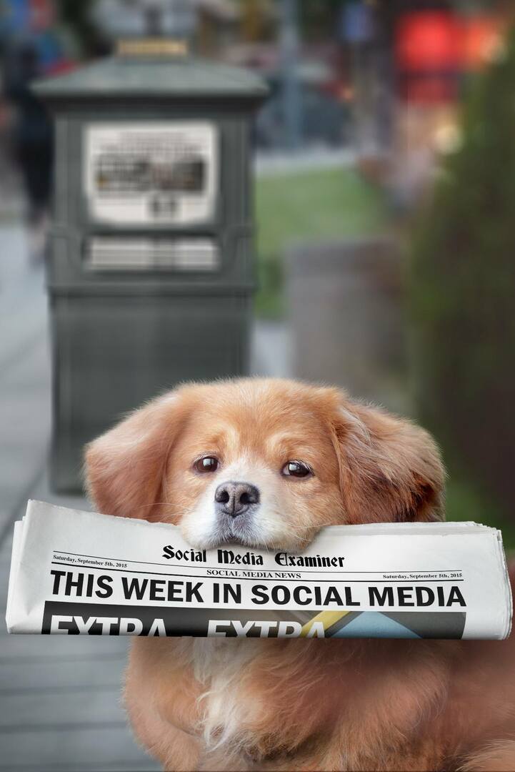 Social Media Prüfer wöchentliche Nachrichten 5. September 2015