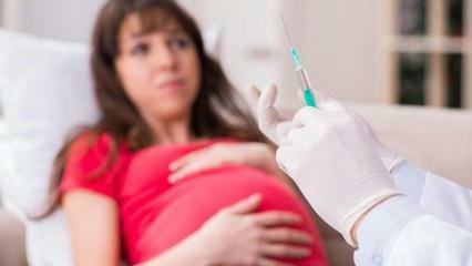 Warnung von Experten! Schwangere warten auf den Coronavirus-Impfstoff