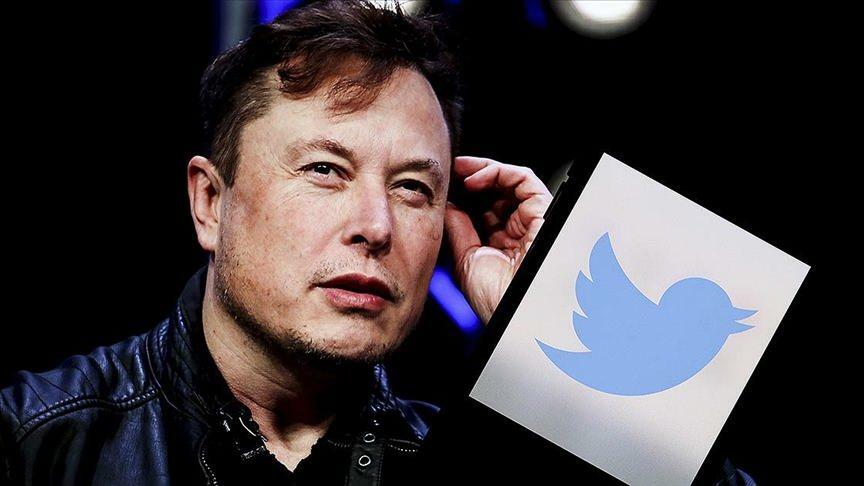 Elon Musk und Tracy Hawkins stritten sich in den sozialen Medien 