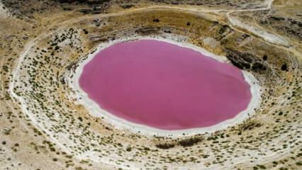 Die Farbe des Meyil Obruk Sees ist rosa geworden!