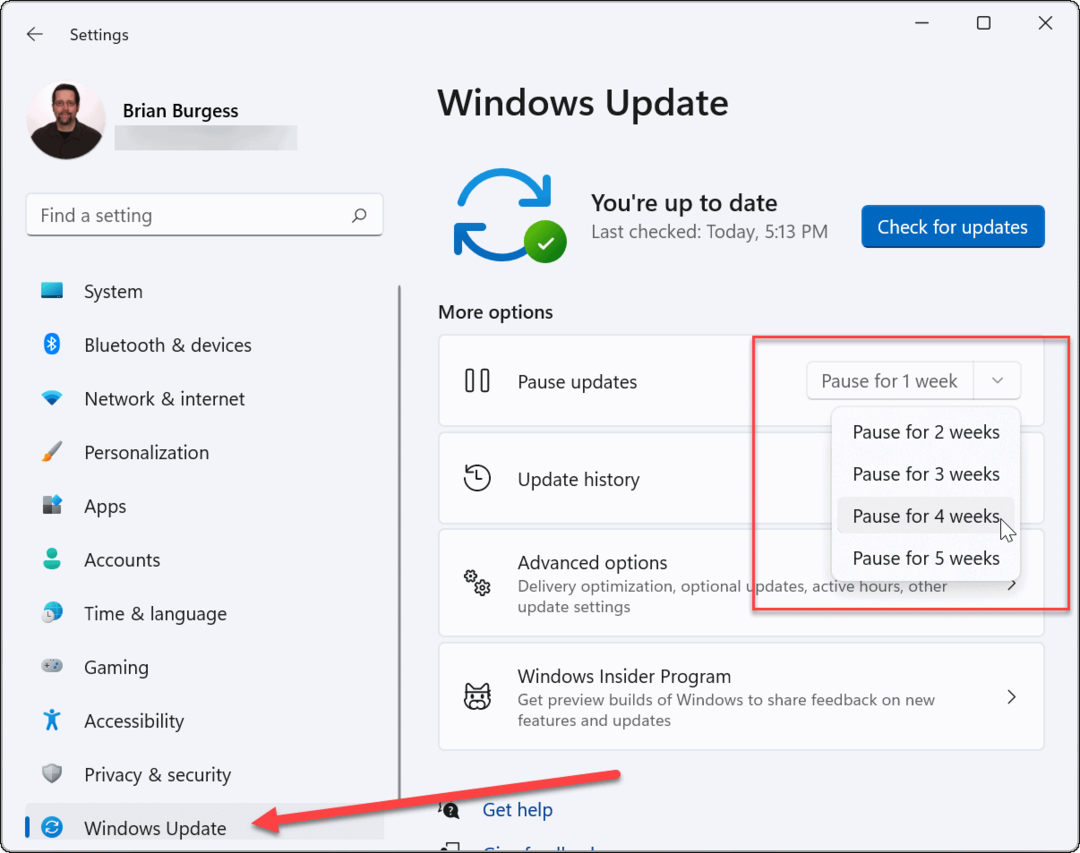 Neue Wochen pausieren Windows 11 Update