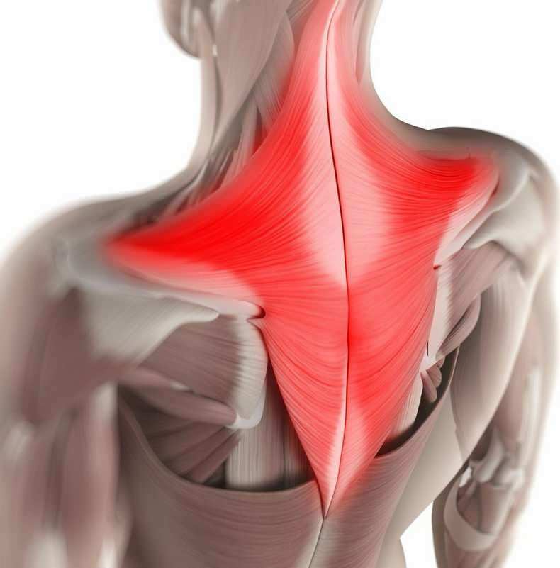 Tagsüber können unbewusst die Muskeln im Nackenbereich in die falschen Sitzpositionen gezogen werden. 
