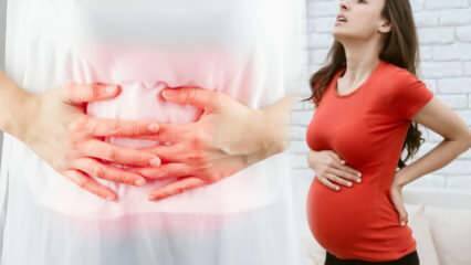 Wie kann man Teile einer Fehlgeburt während der Schwangerschaft verstehen? Realisierung von niedrigen ...