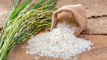 Was ist Baldo-Reis? Was zeichnet Baldo-Reis aus? 2020 Baldo Reis Preise