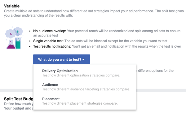 Wählen Sie die Variable aus, die Sie mit Ihrer Facebook-Anzeige testen möchten.