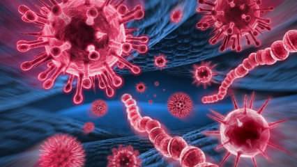 Was ist das Mers-Virus? Was sind die Symptome des Mers-Virus? Wie wird der Mers-Virus übertragen?