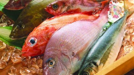 Was sind die Vorteile von Fisch? Wie verzehrt man den gesündesten Fisch?