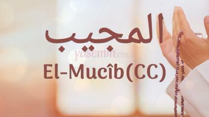 Was bedeutet al-Mujib (cc)? Was sind die Vorzüge des Namens Al-Mujib? Esmaul Husna Al-Mujib...