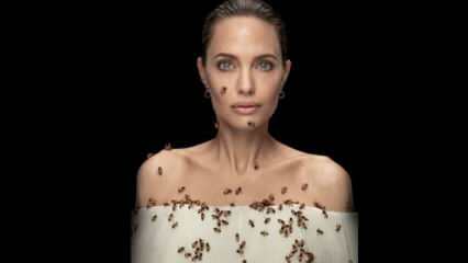 Angelina Jolie in Linse mit Bienen für Bienen!
