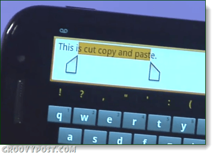 Lebkuchen kopieren Einfügen Screenshot