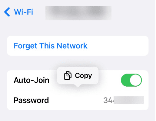 Zeigen Sie gespeicherte Passwörter für Wi-Fi-Netzwerke auf dem iPhone an
