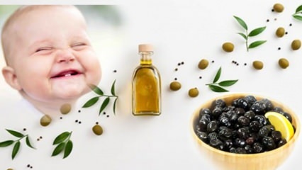 Oliven mit wenig Salz für Babys machen! In welchem ​​Monat sollten Babys Oliven bekommen?