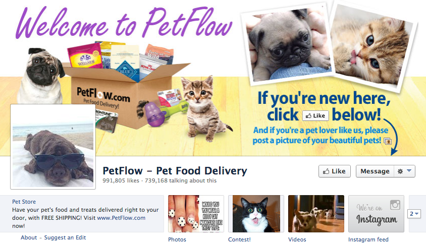 petflow facebook seite