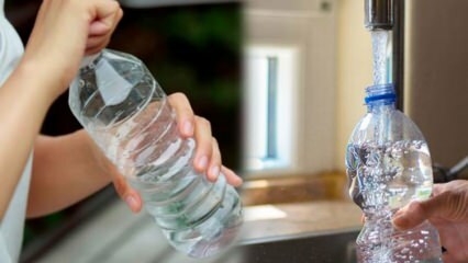 Wie kann man zu Hause Wasser sparen?