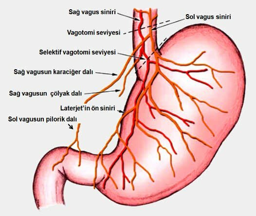 Magen-Darm-Symptome