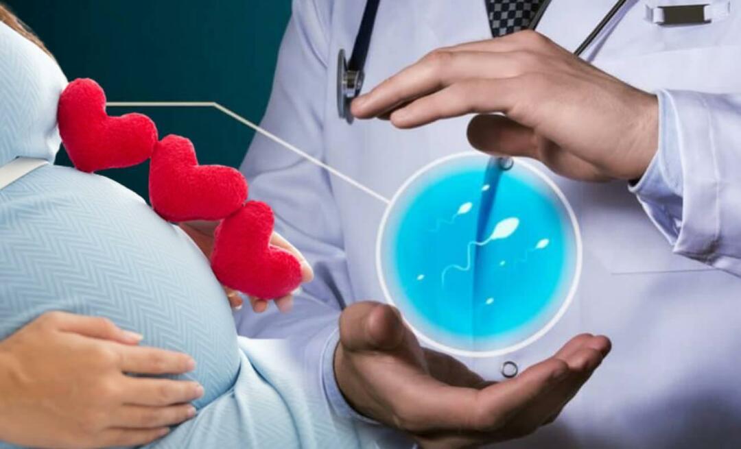 Eine neue Methode in der Behandlung von Unfruchtbarkeit: Stammzelltherapie bei weiblicher Unfruchtbarkeit!