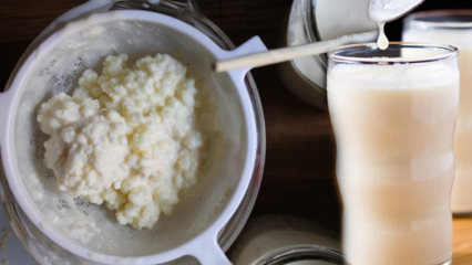 Wie wird Kefir hergestellt? Was sind die Vorteile von Kefir? Was macht es, Kefirsaft zu trinken?