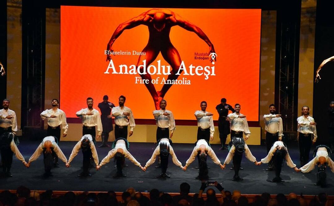 „Treuepreis“ für Türkan Şoray! Standing Ovations...