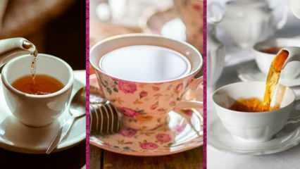Welches sind die besten Teetassenmodelle von Evidea? 2022 Die besten Teetassenmodelle und Preise