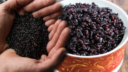Was sind die Vorteile von schwarzem Reis? Wie heißt der andere schwarze Reis? Wie wird schwarzer Reis konsumiert?