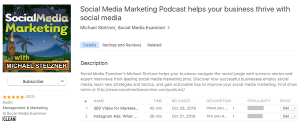 Social Media Marketing Podcast mit Michael Stelzner
