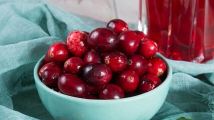 Was sind die Vorteile von Cranberry? Wie wird der Cranberry-Tee gebraut?