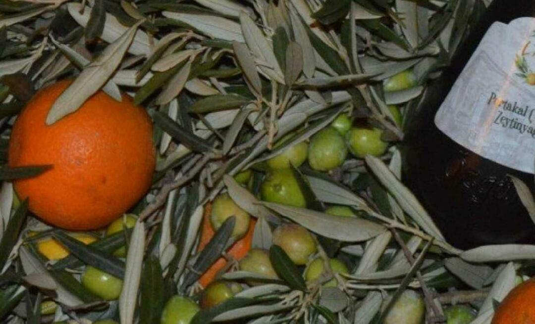 Unternehmerinnen aus Balıkesir stellten Orangen-Olivenöl her!