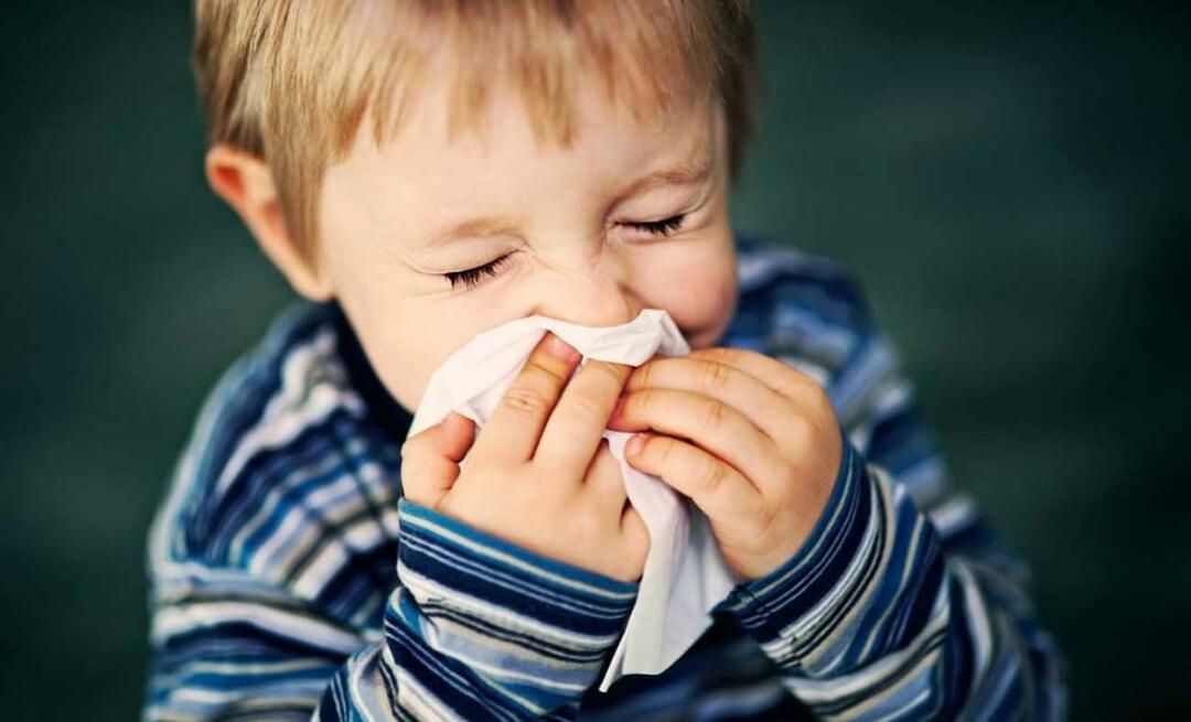 Was ist eine saisonale Allergie bei Kindern? Vermischt es sich mit Kälte? Was ist gut bei saisonalen Allergien?