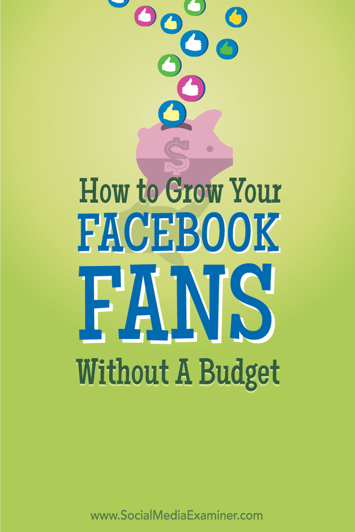 wie man Facebook-Fans ohne Budget wachsen lässt