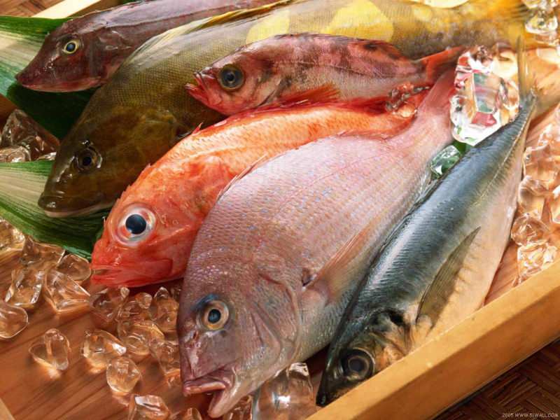 Tipps zur Auswahl von frischem Fisch von der Masterchef-Jury Mehmet Chef