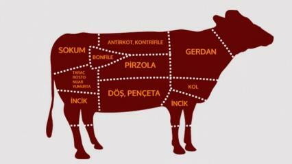 Aus welchen Teilen besteht Rindfleisch? Welches Fleisch stammt aus welcher Region?