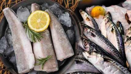 Wie wird Fisch gelagert? Was sind die Tricks, um Fisch im Gefrierschrank aufzubewahren?