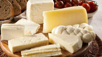Wie wird Käse gelagert? Wie man Käse aus dem Kühlschrank hält