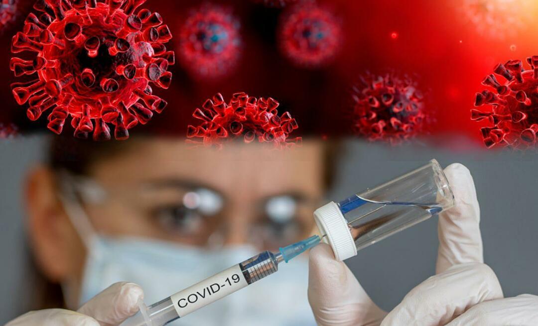 Liegt es im Recht der Menschen, sich nicht gegen epidemische Krankheiten impfen zu lassen? Präsidentschaft für religiöse Angelegenheiten bekannt gegeben