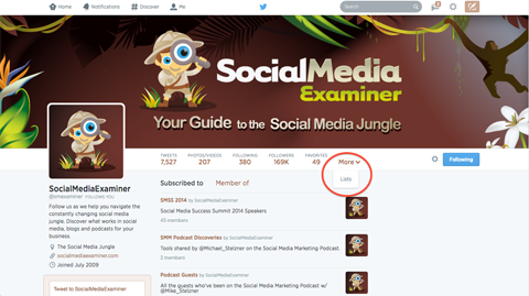 Twitter-Listen auf Social Media Examiner angezeigt