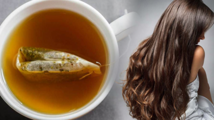 Was sind die Vorteile von grünem Tee für die Haare? Rezept für Hautmasken mit grünem Tee