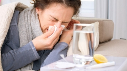 Was sind die Lebensmittel, die gut gegen Erkältungen und Grippe sind? 5 Lebensmittel, die Grippe verhindern ...